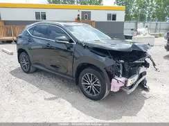 2T2ADCEZ4PC002850 2023 LEXUS NX