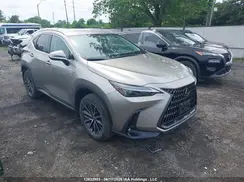 2T2ADCEZ4PC003853 2023 LEXUS NX