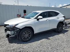 2T2ADCEZ6NC001776 2022 LEXUS NX