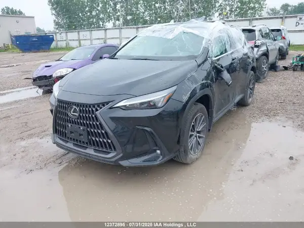 2T2ADCEZ6NC002457 2022 LEXUS NX - Image 2