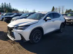 2T2ADCEZ7PC003569 2023 LEXUS NX