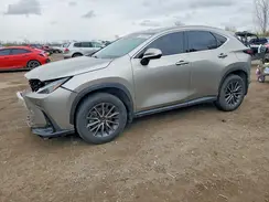 2T2ADCEZ8PC002849 2023 LEXUS NX