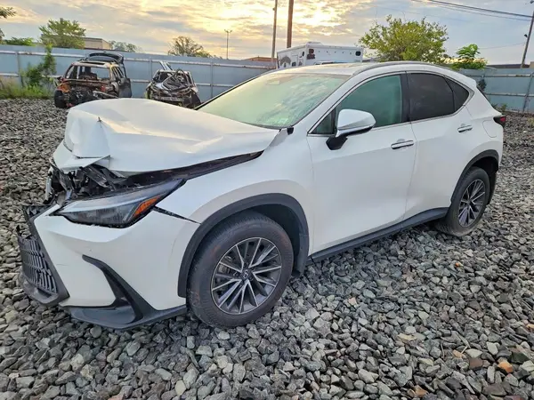 2T2ADCEZ9SC005509 2025 LEXUS NX - Image 1