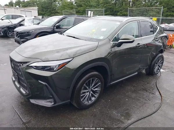 2T2AGCEZ0RC034818 2024 LEXUS NX - Image 2