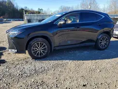 2T2AGCEZ0RC045916 2024 LEXUS NX