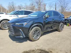 2T2AGCEZ0SC090005 2025 LEXUS NX