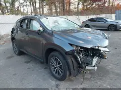 2T2AGCEZ1RC033922 2024 LEXUS NX