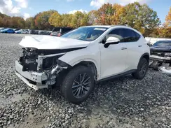 2T2AGCEZ1RC034102 2024 LEXUS NX