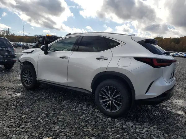 2T2AGCEZ1RC034102 2024 LEXUS NX - Image 2
