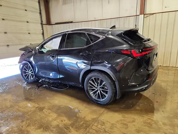 2T2AGCEZ1RC038456 2024 LEXUS NX - Image 2