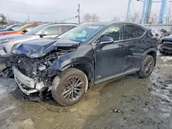 2T2AGCEZ1RC056956 2024 LEXUS NX