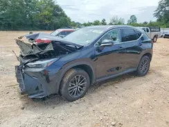 2T2AGCEZ1SC092698 2025 LEXUS NX