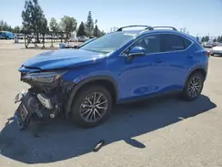 2T2AGCEZ2PC023820 2023 LEXUS NX
