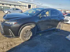 2T2AGCEZ2RC045190 2024 LEXUS NX