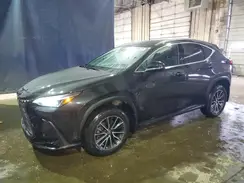 2T2AGCEZ2RC055136 2024 LEXUS NX