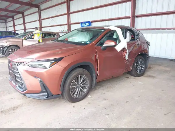 2T2AGCEZ2SC066126 2025 LEXUS NX - Image 2