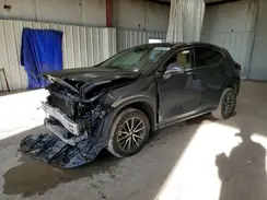 2T2AGCEZ3RC045375 2024 LEXUS NX