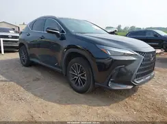 2T2AGCEZ3RC057624 2024 LEXUS NX