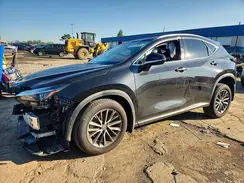 2T2AGCEZ4RC032781 2024 LEXUS NX