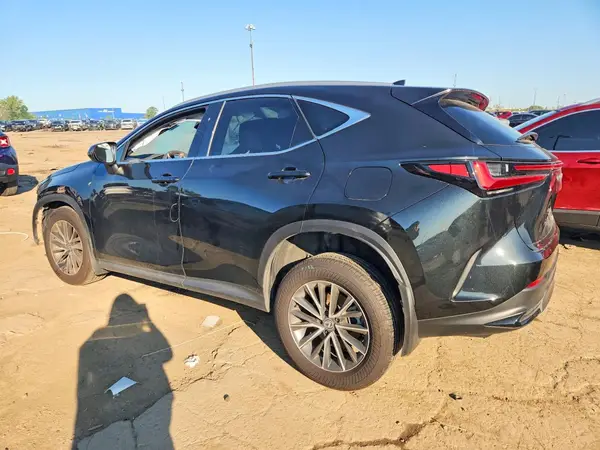 2T2AGCEZ4RC032781 2024 LEXUS NX - Image 2