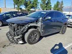 2T2AGCEZ4RC050522 2024 LEXUS NX