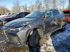 2T2AGCEZ4RC053310 2024 LEXUS NX