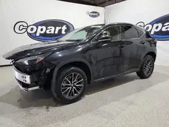 2T2AGCEZ4RC057129 2024 LEXUS NX