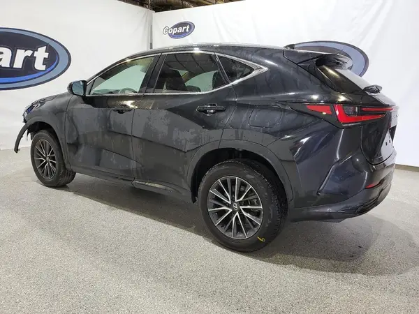 2T2AGCEZ4RC057129 2024 LEXUS NX - Image 2