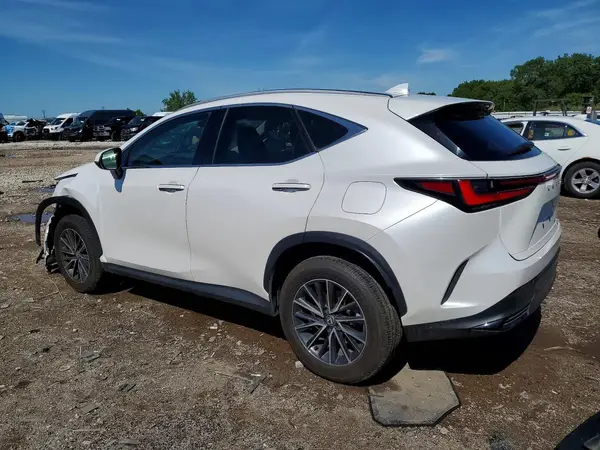 2T2AGCEZ4RC059575 2024 LEXUS NX - Image 2