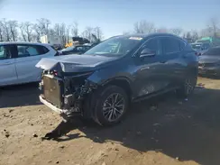 2T2AGCEZ5RC042834 2024 LEXUS NX