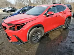 2T2AGCEZ5RC050948 2024 LEXUS NX