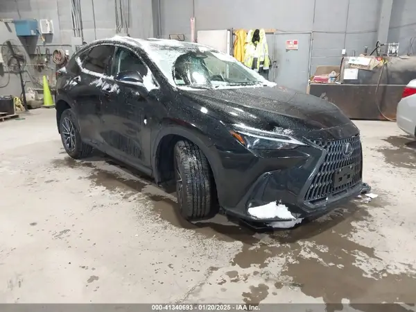 2T2AGCEZ5RC053557 2024 LEXUS NX - Image 1