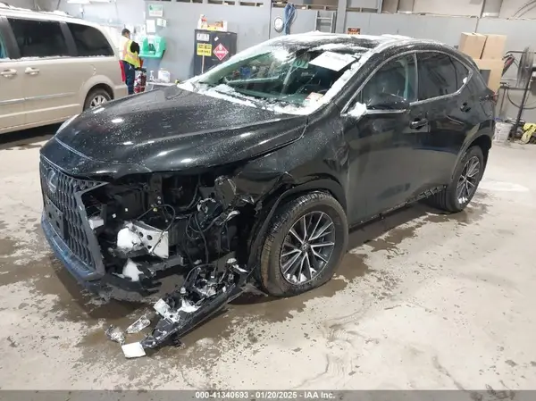 2T2AGCEZ5RC053557 2024 LEXUS NX - Image 2