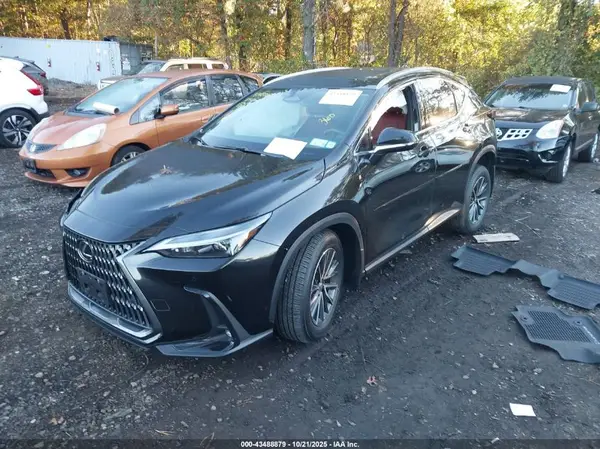 2T2AGCEZ5SC069781 2025 LEXUS NX - Image 2