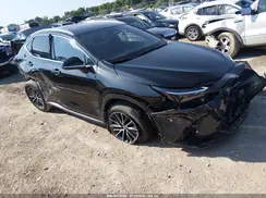 2T2AGCEZ6PC029510 2023 LEXUS NX