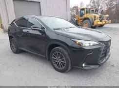 2T2AGCEZ6RC045533 2024 LEXUS NX