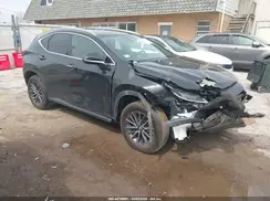 2T2AGCEZ6RC050280 2024 LEXUS NX
