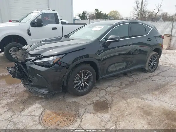 2T2AGCEZ6RC050280 2024 LEXUS NX - Image 2