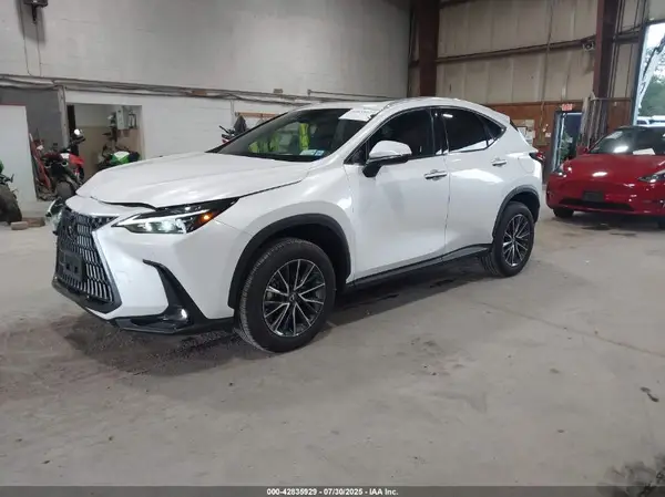 2T2AGCEZ6SC067926 2025 LEXUS NX - Image 2