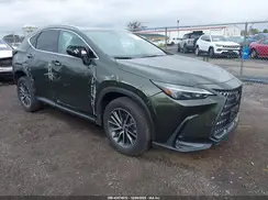 2T2AGCEZ6SC071040 2025 LEXUS NX
