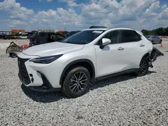 2T2AGCEZ7RC047128 2024 LEXUS NX