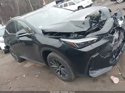 2T2AGCEZ7RC054564 2024 LEXUS NX