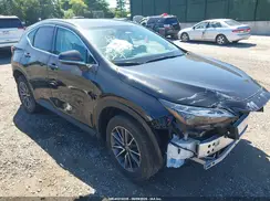 2T2AGCEZ7SC065991 2025 LEXUS NX