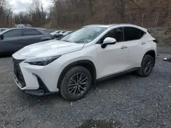 2T2AGCEZ7SC069846 2025 LEXUS NX