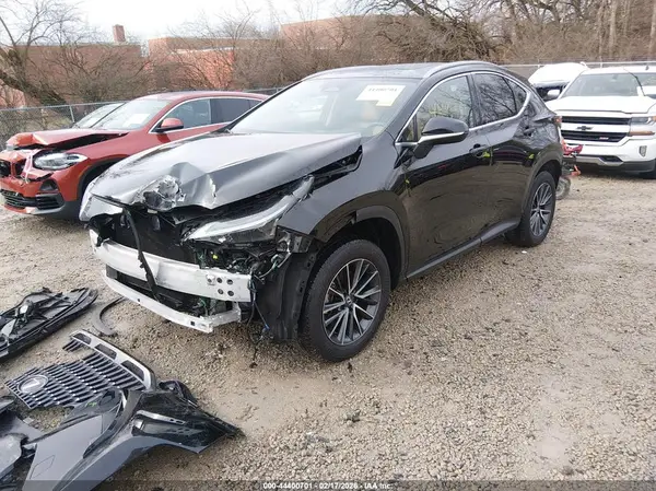 2T2AGCEZ7SC074206 2025 LEXUS NX - Image 2