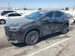 2T2AGCEZ8RC040544 2024 LEXUS NX