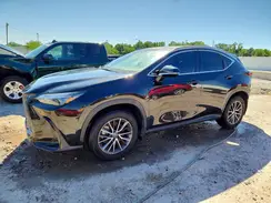 2T2AGCEZ8RC043248 2024 LEXUS NX