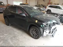 2T2AGCEZ8RC056680 2024 LEXUS NX