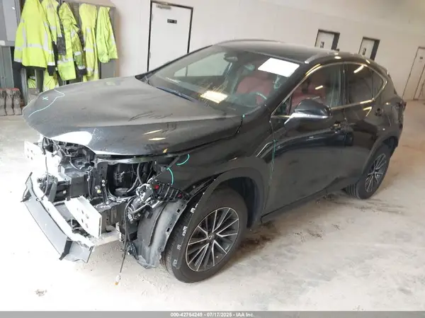 2T2AGCEZ8RC056680 2024 LEXUS NX - Image 2