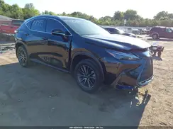 2T2AGCEZ8RC060101 2024 LEXUS NX